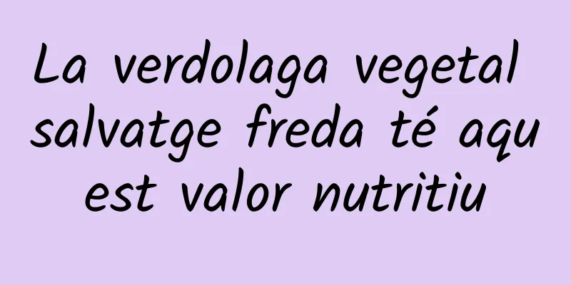 La verdolaga vegetal salvatge freda té aquest valor nutritiu