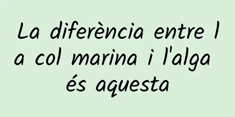 La diferència entre la col marina i l'alga és aquesta