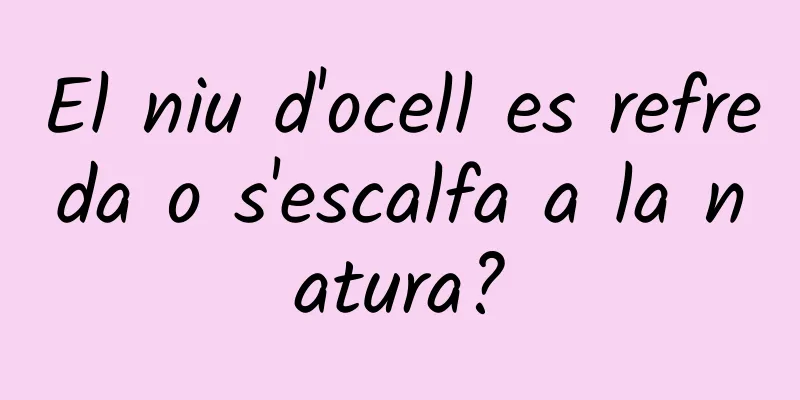 El niu d'ocell es refreda o s'escalfa a la natura?