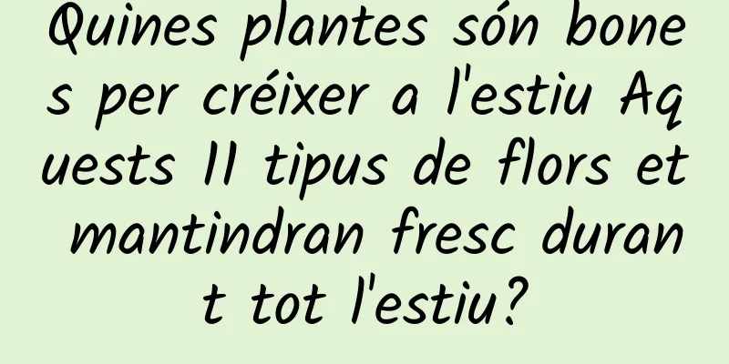 Quines plantes són bones per créixer a l'estiu Aquests 11 tipus de flors et mantindran fresc durant tot l'estiu?