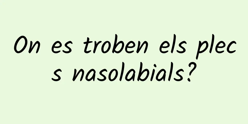 On es troben els plecs nasolabials?