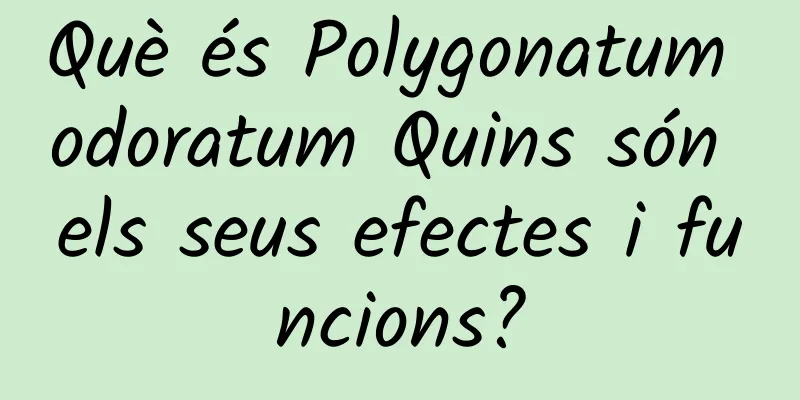 Què és Polygonatum odoratum Quins són els seus efectes i funcions?