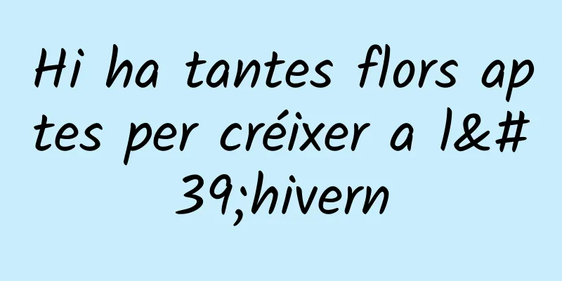 Hi ha tantes flors aptes per créixer a l'hivern