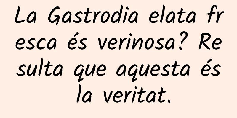 La Gastrodia elata fresca és verinosa? Resulta que aquesta és la veritat.