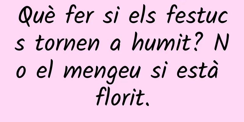 Què fer si els festucs tornen a humit? No el mengeu si està florit.