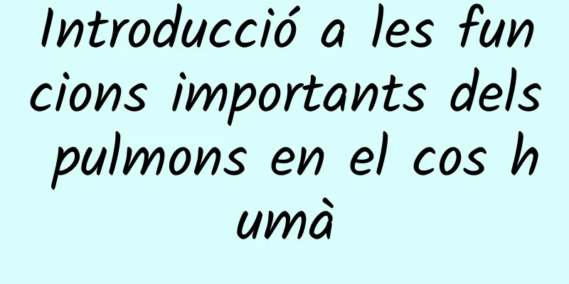 Introducció a les funcions importants dels pulmons en el cos humà