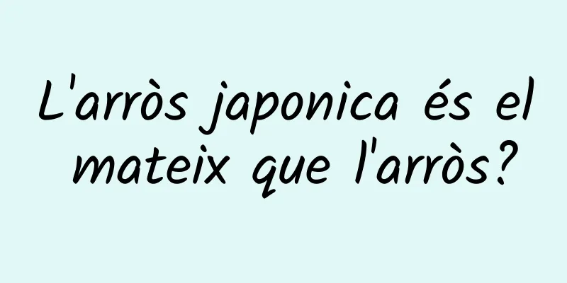 L'arròs japonica és el mateix que l'arròs?