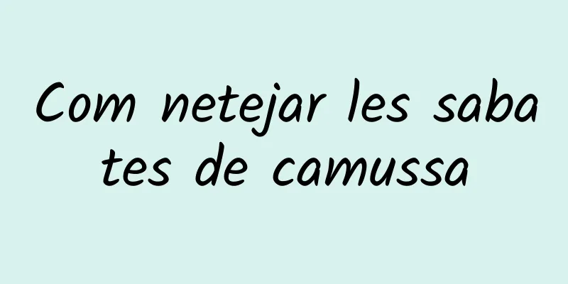 Com netejar les sabates de camussa