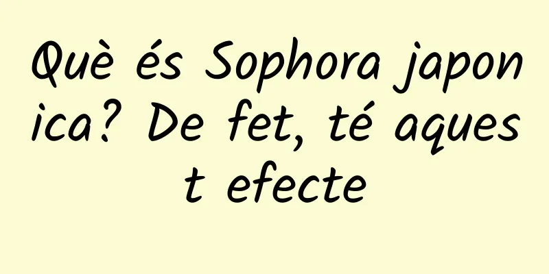 Què és Sophora japonica? De fet, té aquest efecte