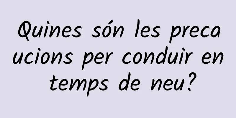 Quines són les precaucions per conduir en temps de neu?