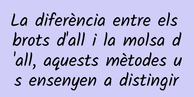 La diferència entre els brots d'all i la molsa d'all, aquests mètodes us ensenyen a distingir