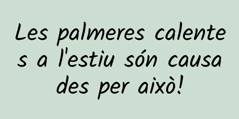Les palmeres calentes a l'estiu són causades per això!