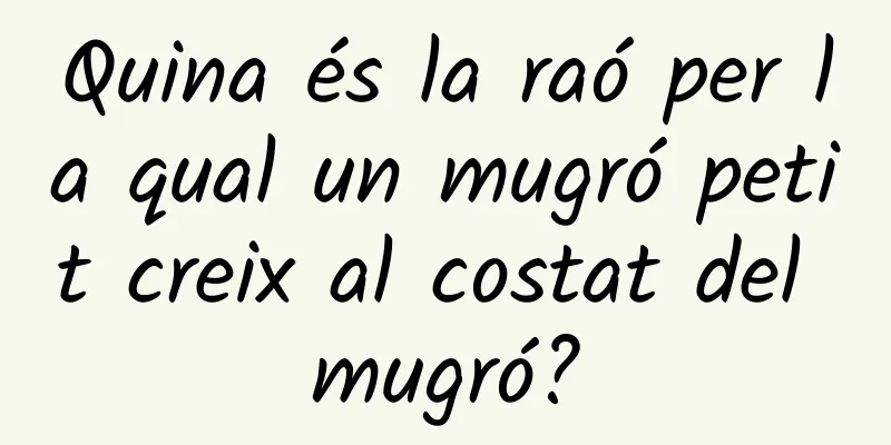 Quina és la raó per la qual un mugró petit creix al costat del mugró?