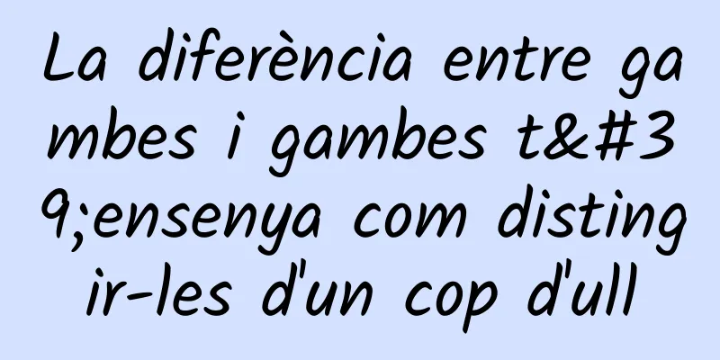 La diferència entre gambes i gambes t'ensenya com distingir-les d'un cop d'ull