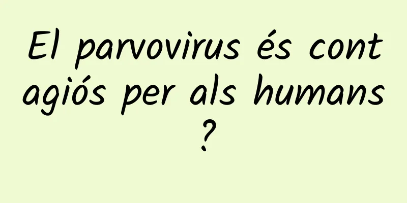 El parvovirus és contagiós per als humans?