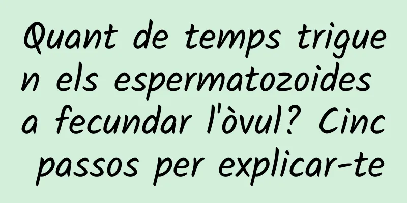 Quant de temps triguen els espermatozoides a fecundar l'òvul? Cinc passos per explicar-te