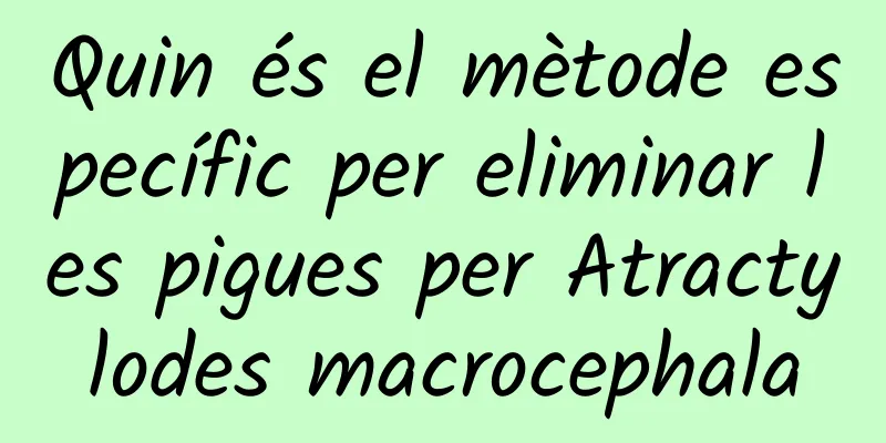 Quin és el mètode específic per eliminar les pigues per Atractylodes macrocephala
