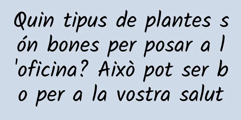 Quin tipus de plantes són bones per posar a l'oficina? Això pot ser bo per a la vostra salut