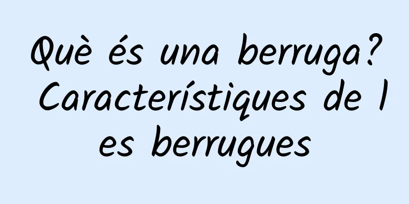 Què és una berruga? Característiques de les berrugues