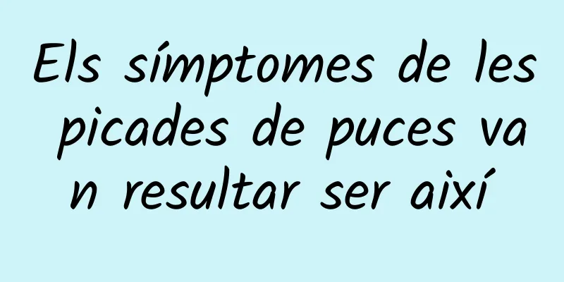 Els símptomes de les picades de puces van resultar ser així