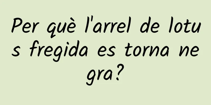 Per què l'arrel de lotus fregida es torna negra?