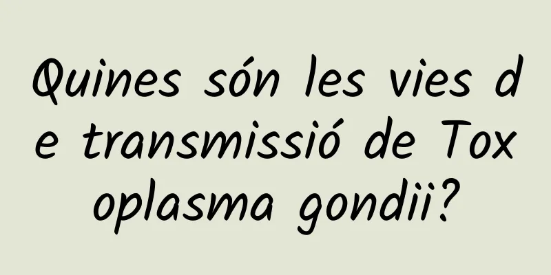 Quines són les vies de transmissió de Toxoplasma gondii?