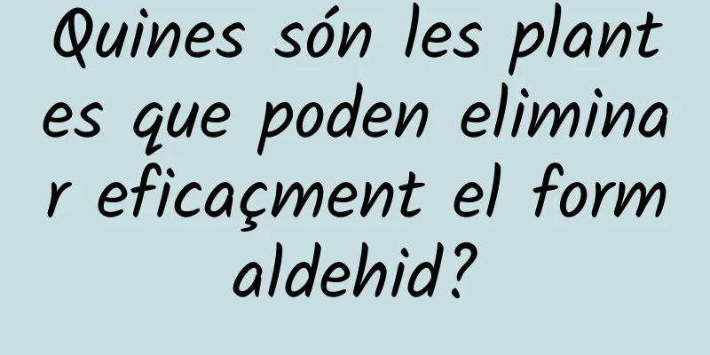 Quines són les plantes que poden eliminar eficaçment el formaldehid?