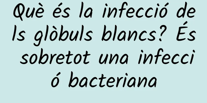 Què és la infecció dels glòbuls blancs? És sobretot una infecció bacteriana