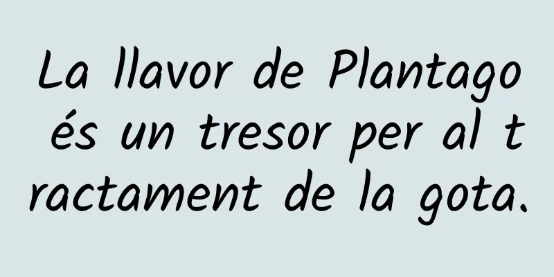La llavor de Plantago és un tresor per al tractament de la gota.