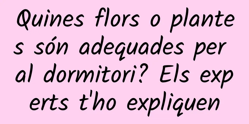 Quines flors o plantes són adequades per al dormitori? Els experts t'ho expliquen