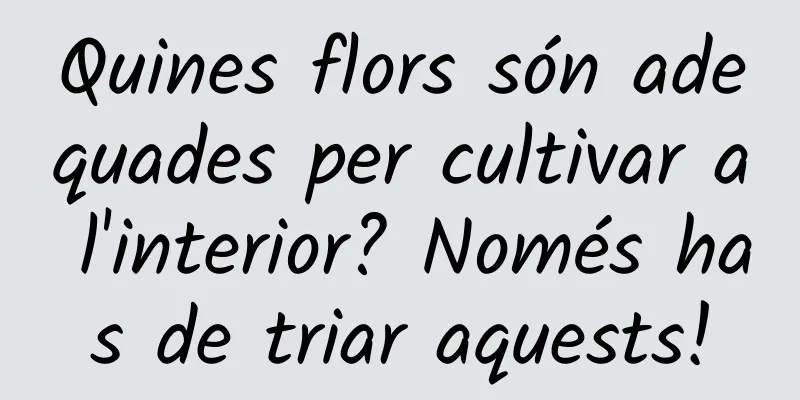 Quines flors són adequades per cultivar a l'interior? Només has de triar aquests!