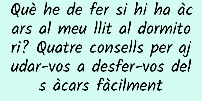 Què he de fer si hi ha àcars al meu llit al dormitori? Quatre consells per ajudar-vos a desfer-vos dels àcars fàcilment