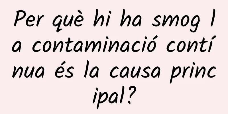 Per què hi ha smog la contaminació contínua és la causa principal?