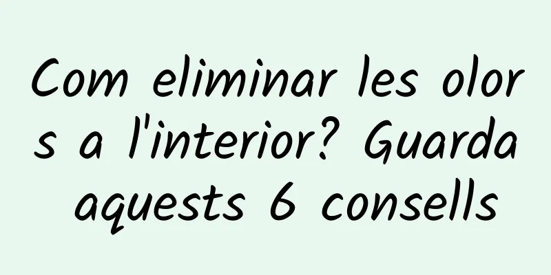 Com eliminar les olors a l'interior? Guarda aquests 6 consells