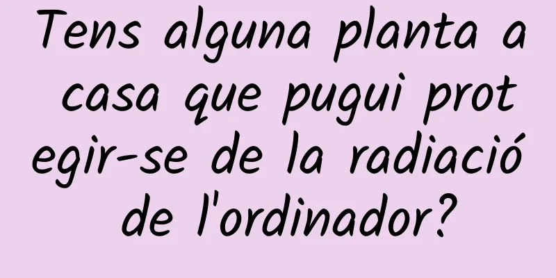 Tens alguna planta a casa que pugui protegir-se de la radiació de l'ordinador?