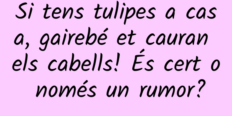 Si tens tulipes a casa, gairebé et cauran els cabells! És cert o només un rumor?