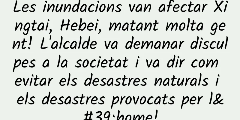 Les inundacions van afectar Xingtai, Hebei, matant molta gent! L'alcalde va demanar disculpes a la societat i va dir com evitar els desastres naturals i els desastres provocats per l'home!