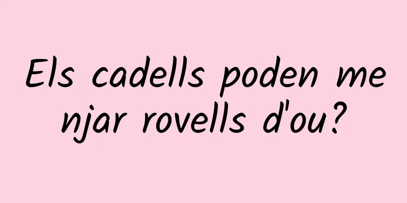 Els cadells poden menjar rovells d'ou?