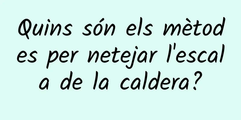 Quins són els mètodes per netejar l'escala de la caldera?