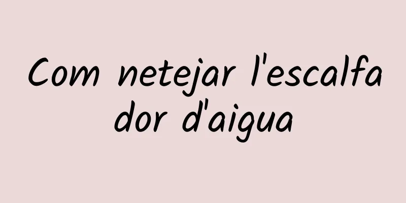 Com netejar l'escalfador d'aigua