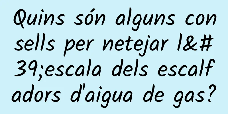 Quins són alguns consells per netejar l'escala dels escalfadors d'aigua de gas?