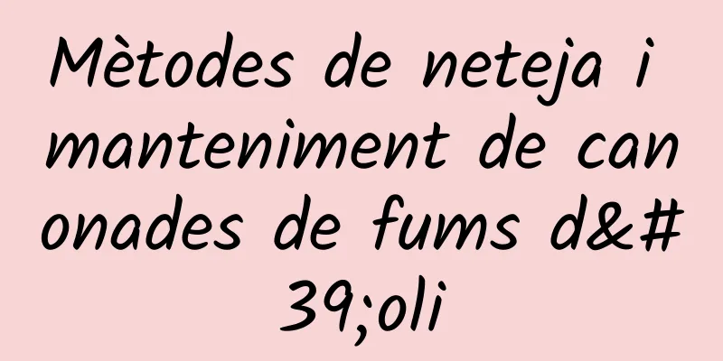 Mètodes de neteja i manteniment de canonades de fums d'oli