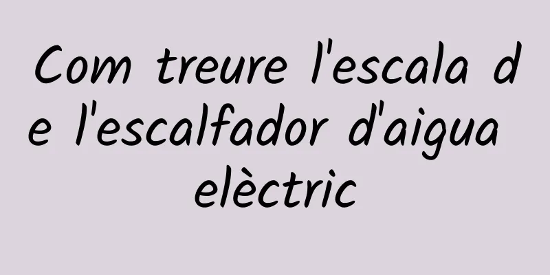 Com treure l'escala de l'escalfador d'aigua elèctric