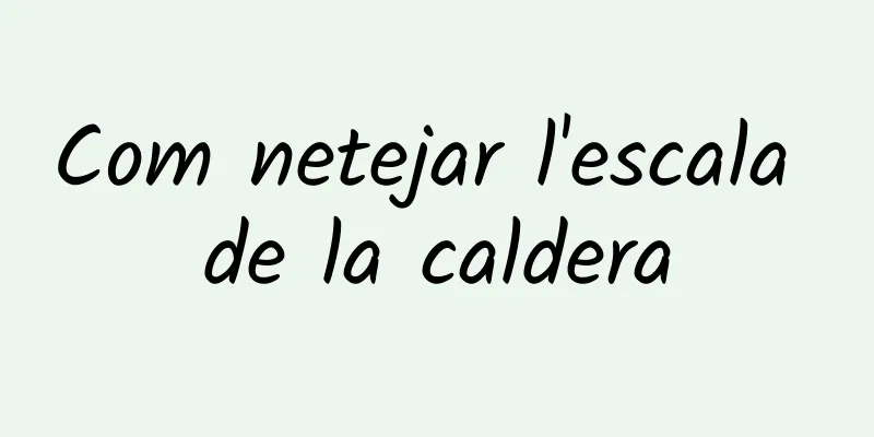 Com netejar l'escala de la caldera