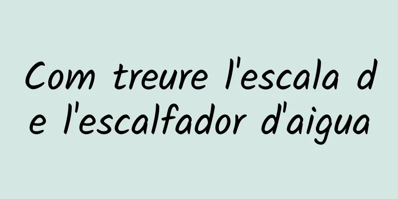 Com treure l'escala de l'escalfador d'aigua