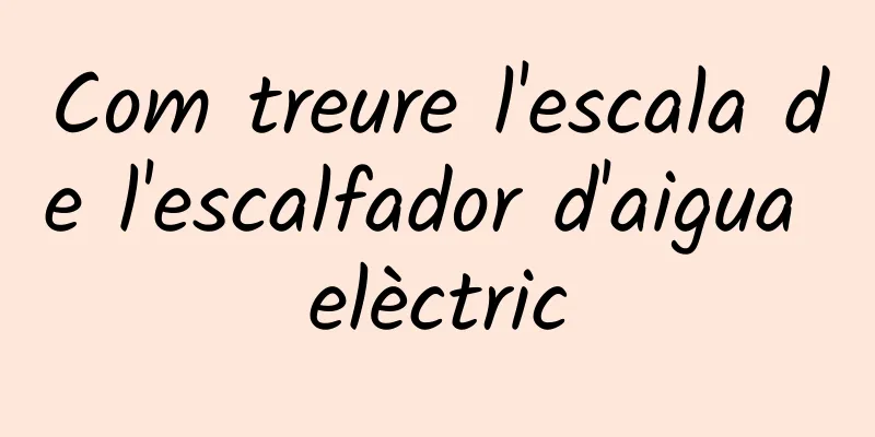 Com treure l'escala de l'escalfador d'aigua elèctric