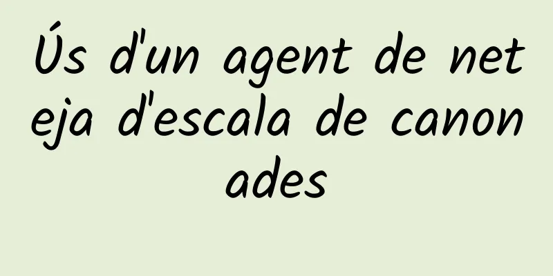 Ús d'un agent de neteja d'escala de canonades