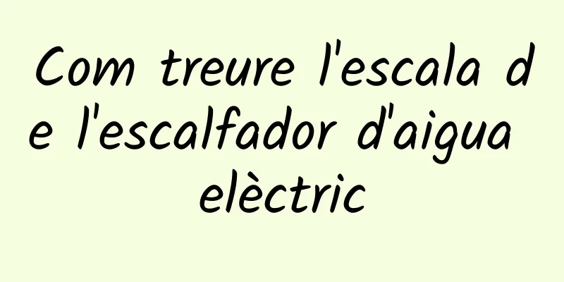Com treure l'escala de l'escalfador d'aigua elèctric