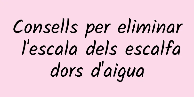 Consells per eliminar l'escala dels escalfadors d'aigua