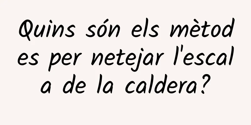 Quins són els mètodes per netejar l'escala de la caldera?